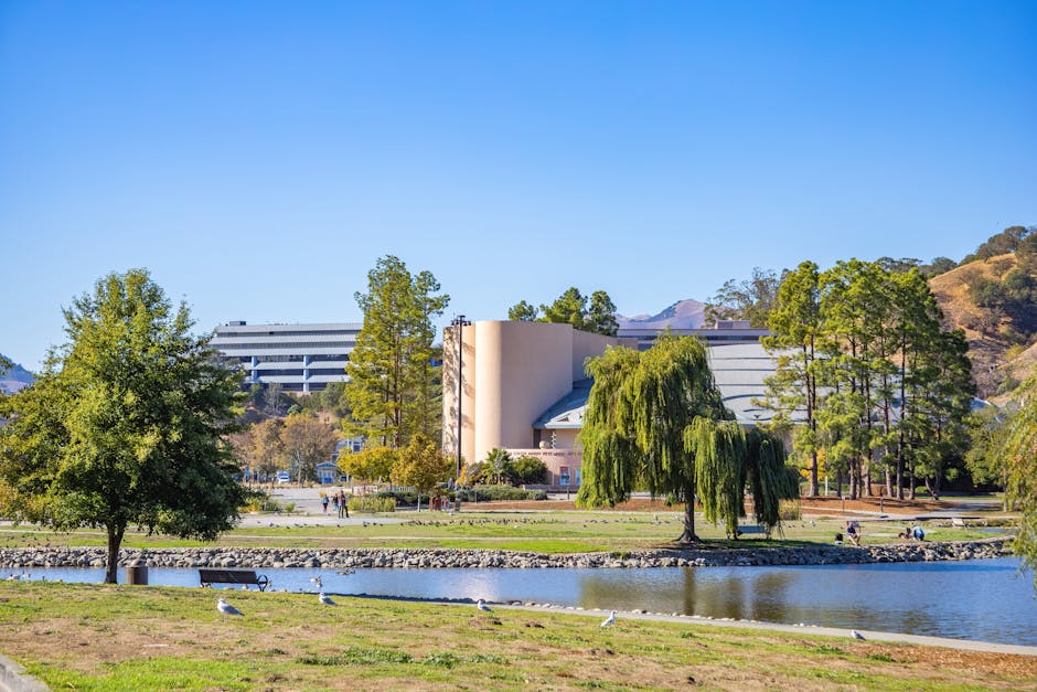 A wide view of a parkside scene on a clear day, featuring a small lake in the foreground with a few seagulls standing on the grassy bank. Behind the water, there is a paved area with several trees, including a large weeping willow and a broad deciduous tree, providing shade. In the background, modern office or institutional buildings with horizontal lines and glass windows are visible, set against a backdrop of rolling hills and mountains. The scene appears to be part of a home relocation or moving logistics context, with no visible furniture or moving equipment, but the location suggests an outdoor environment where a van or transport vehicle from Man with Van Newbury Park could be parked nearby for loading or unloading. The bright blue sky and natural lighting emphasize a peaceful, organized environment suitable for furniture transport or packing and moving activities.