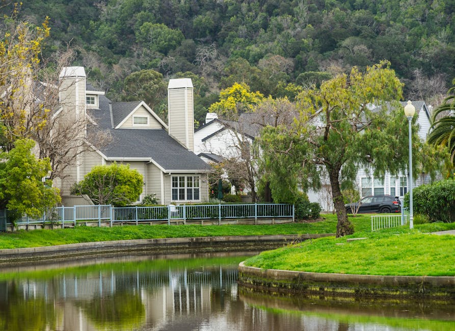 A wide view of a parkside scene on a clear day, featuring a small lake in the foreground with a few seagulls standing on the grassy bank. Behind the water, there is a paved area with several trees, including a large weeping willow and a broad deciduous tree, providing shade. In the background, modern office or institutional buildings with horizontal lines and glass windows are visible, set against a backdrop of rolling hills and mountains. The scene appears to be part of a home relocation or moving logistics context, with no visible furniture or moving equipment, but the location suggests an outdoor environment where a van or transport vehicle from Man with Van Newbury Park could be parked nearby for loading or unloading. The bright blue sky and natural lighting emphasize a peaceful, organized environment suitable for furniture transport or packing and moving activities.